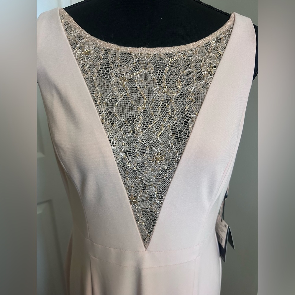 Adrianna Papell Blush Lace Maxi Dress - Picture 2 of 9